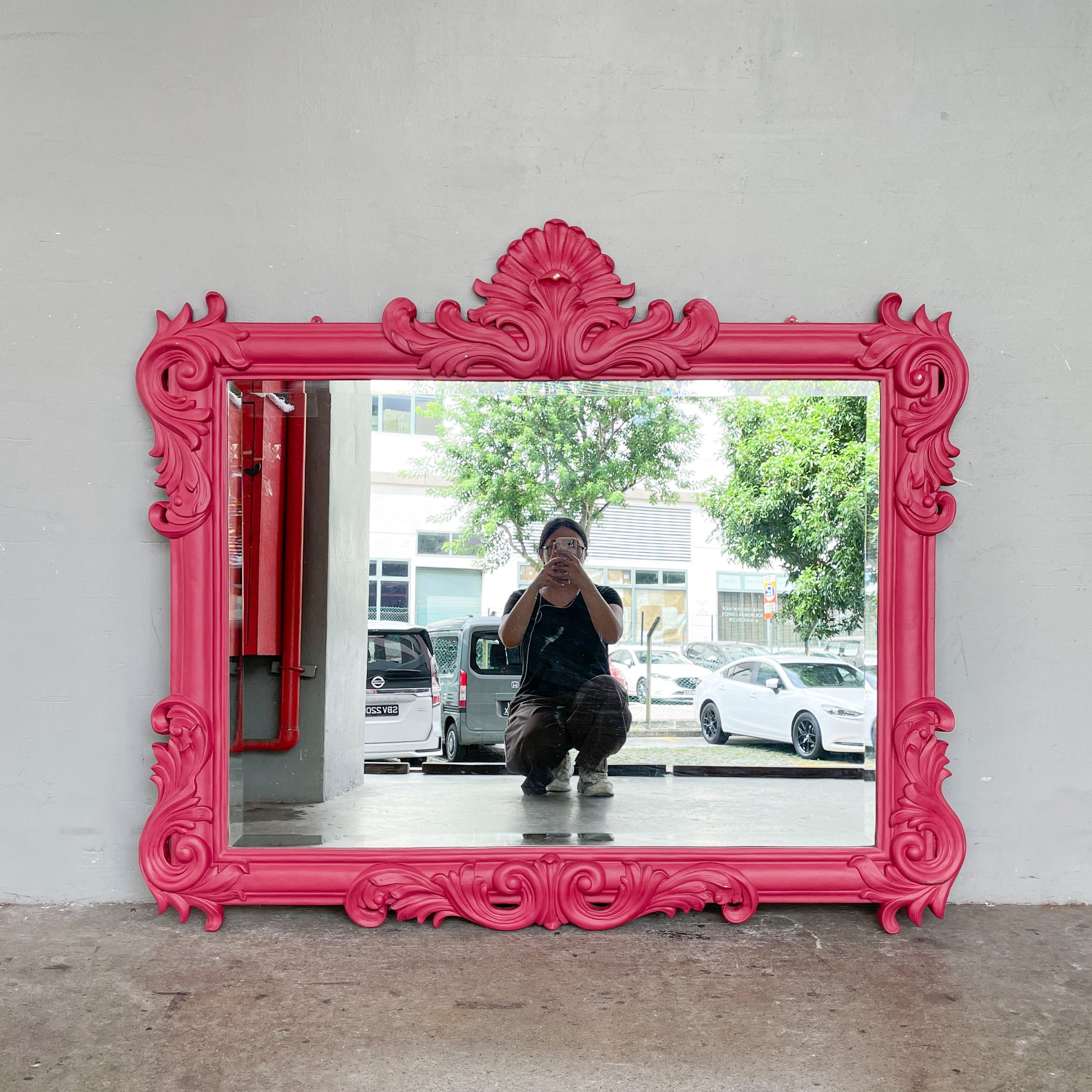 Hot Pink Ornate Wall Mirror
