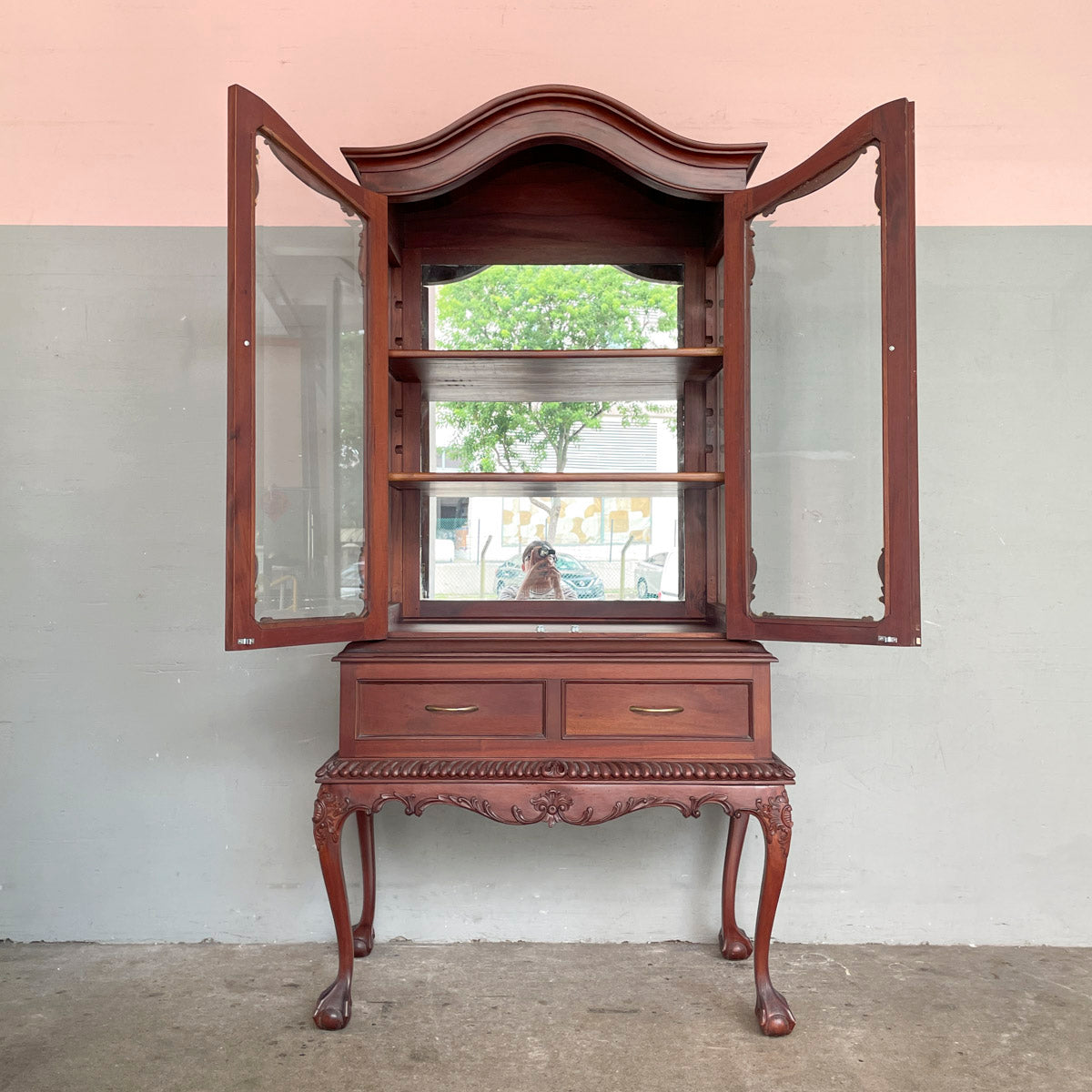 Ornate Wooden Display Cabinet with Cabriole Legs
