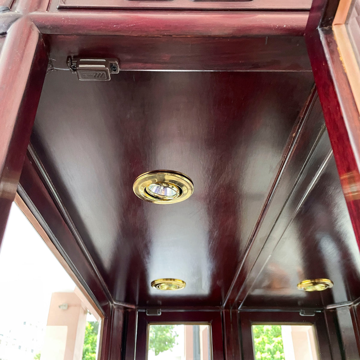 Tall Rosewood Glass Display Cabinet with Lighting
