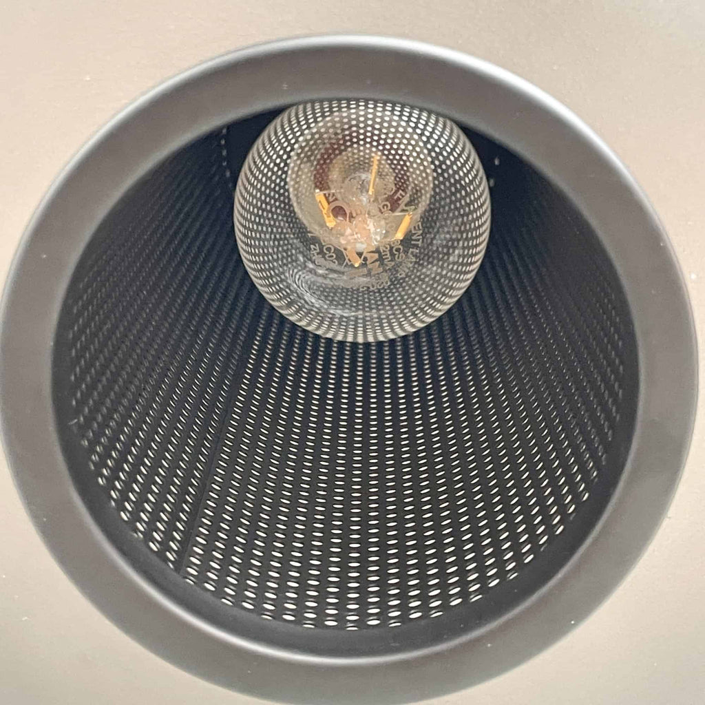 SF Resident Bloom Hanging Lamp - Small
